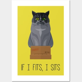 If I Fits, I Sits II Posters and Art